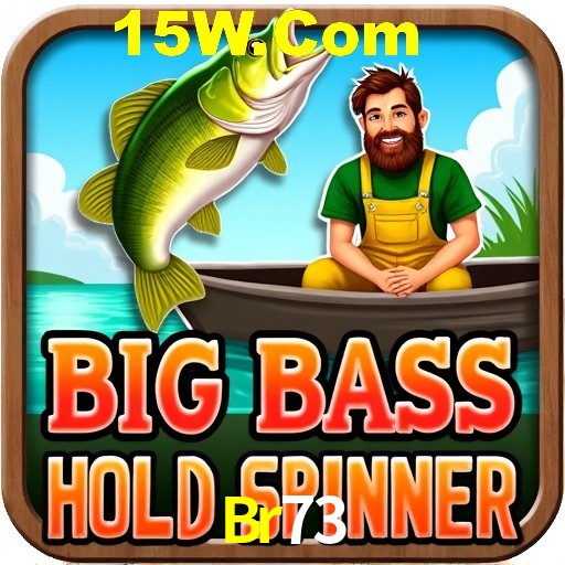 Security Systems Br73