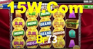 Premium Interface Br73